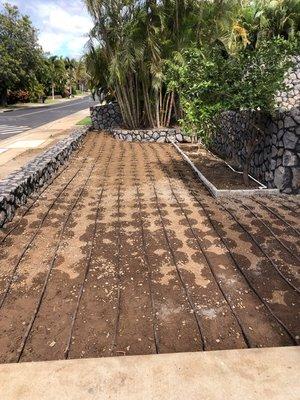 Pacific Landscape and Garden