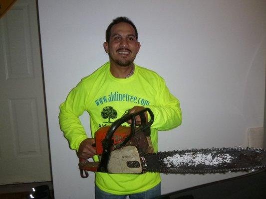 Delfino = 24 hour Tree Crisis Service.