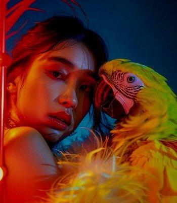 Where Dreams Meet Reality