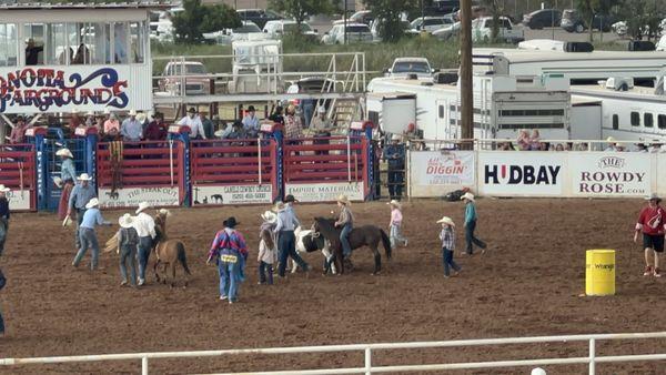 Wild pony race Labor Day weekend 2024