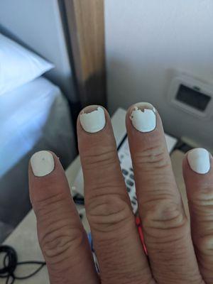 Chipped in two days