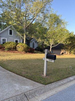 Ms Julio Lawn & Landscaping