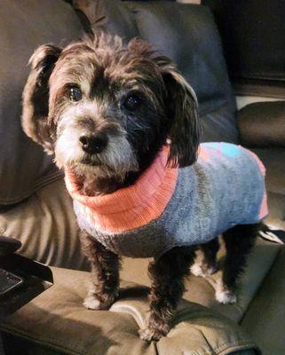 Animal Hospital of Eagle Glen-Mark Farrar DVM