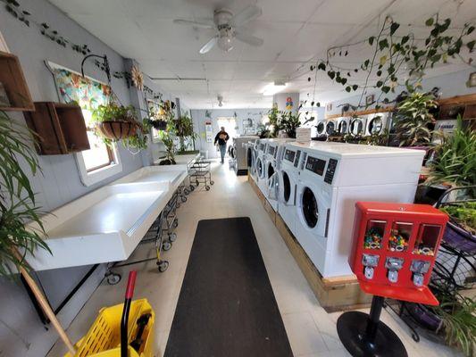 The Wash Haus