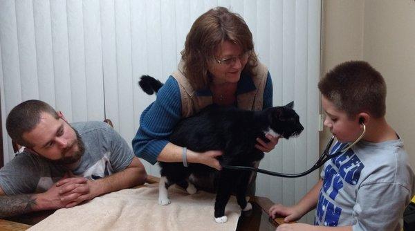 Wright at Home Visiting Vet, pllc