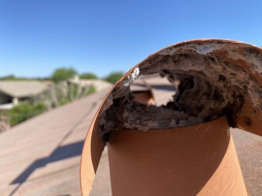 Restricted roof top dryer vent.