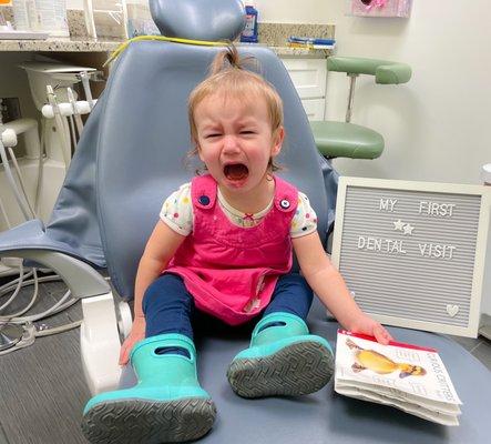 The dentists were great!