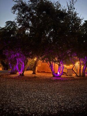 The energy here is amazing!