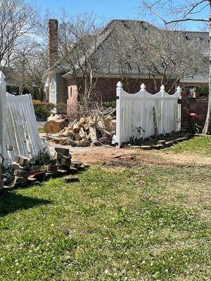 Allstate Tree Service