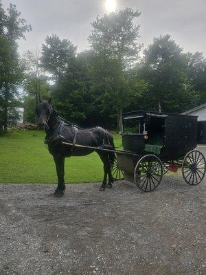 Amish Dinner And Tours