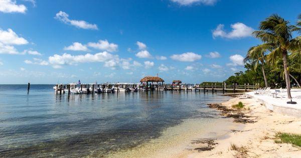 Boat Slips & Beach Area