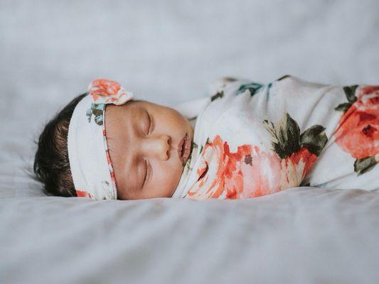 A Day In the Light Photography