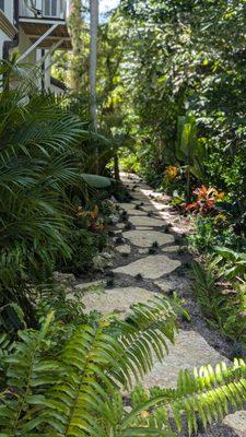 Landscape paver and plant install
