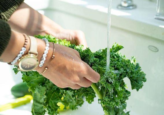 Sunflower Juice & Fitness