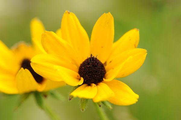 Christine Sevilla Wetlands Preserve