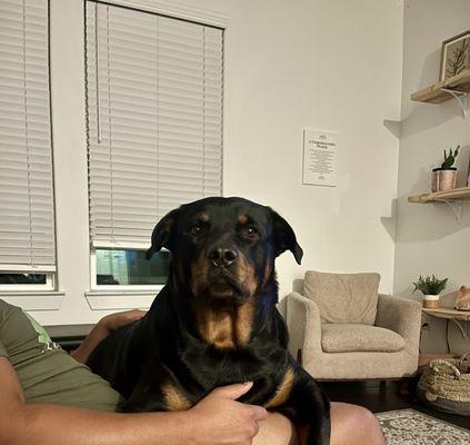 Liberty Grove Animal Hospital