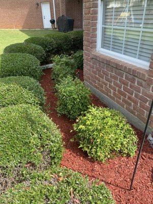 El Gallo Landscaping