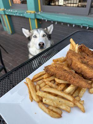 Chicken Strips
