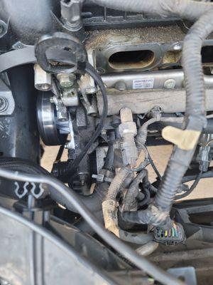 Water pump and thermostat replacement