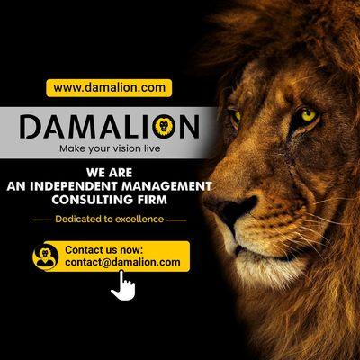 Damalion supports family entrepreneurs to access planning services in Luxembourg and internationally.