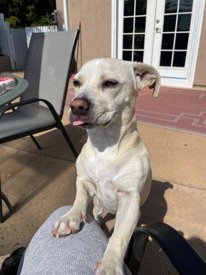 Maryanne Jackson Real Estate Services