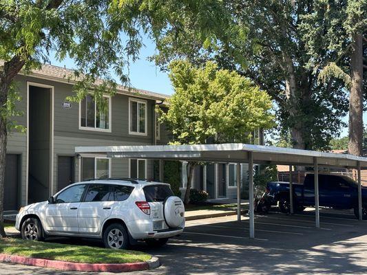 Woodbrook Apartments