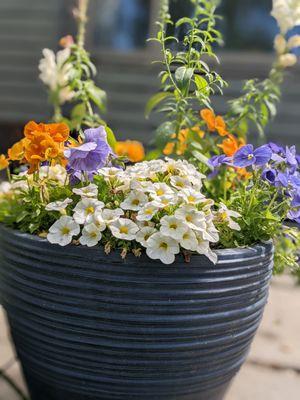 Solstice Landscaping