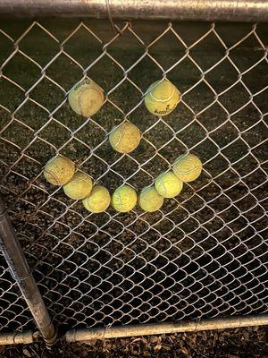 Moanalua Off-leash Dog Park