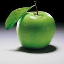 Out of Bounds Education