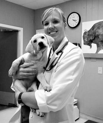 Animal Medical Center of Jonesboro