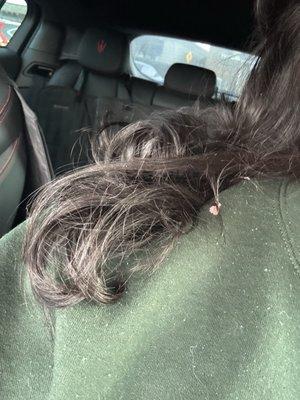 Crystal Eyebrow & More