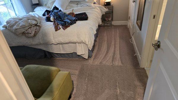1 Hour Dry Carpet Cleaning