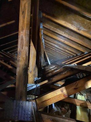 Balanced Pest Control