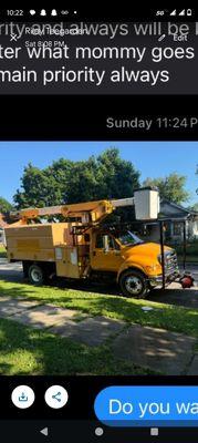 Pro Cuts Tree Care & Landscaping