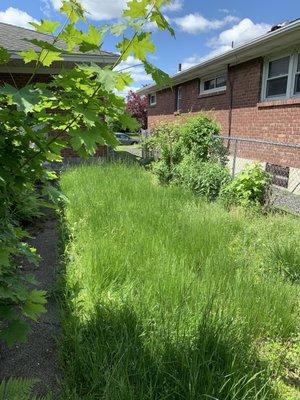 Pure Elegance:Home-Care & Maintenance