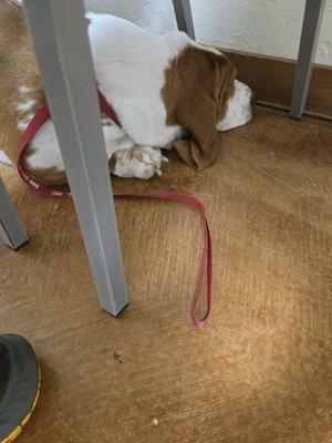 Peaches is just a little shy