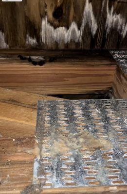 The Falls at Settler's Walk