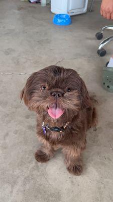 Mokelumne River Veterinary Services