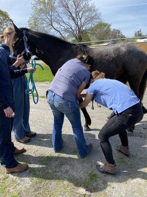 A Partner For Life Horsemanship
