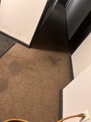 TP Immaculate Cleaning