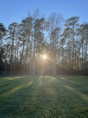 Backyard Burton Elopement Venue