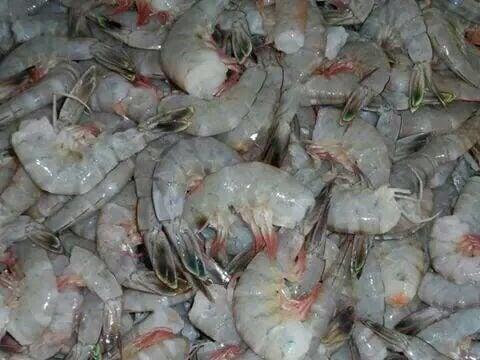 Nelson's Quality Shrimp Company