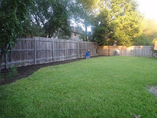 Woody's Tree Service & Landscape