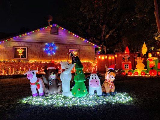 Valmont Drive Christmas Lights