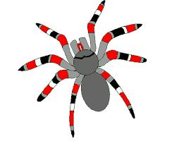 Spyderserve Web Services