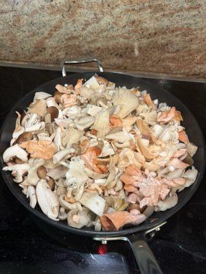 Mountain Meadow Mushrooms