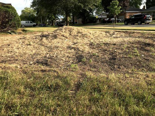 Windy City Tree Service