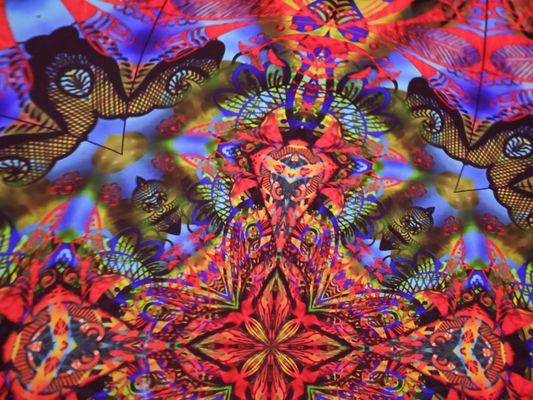 Images on screen after the show