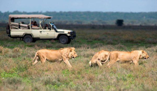 Activentures Africa Safaris