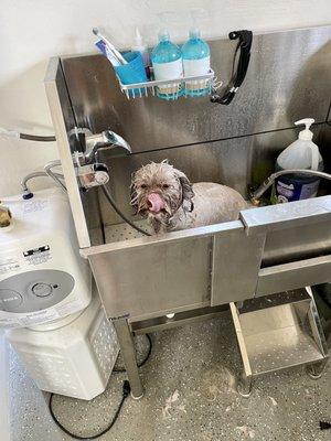 Coop’s Place Grooming